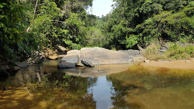 Mookanamane Abbi Falls