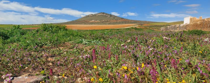 Presa Romana de Consuegra