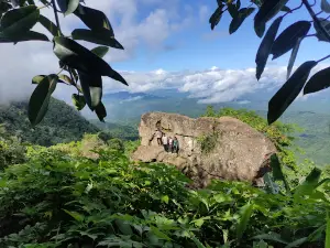 Lung Nupa