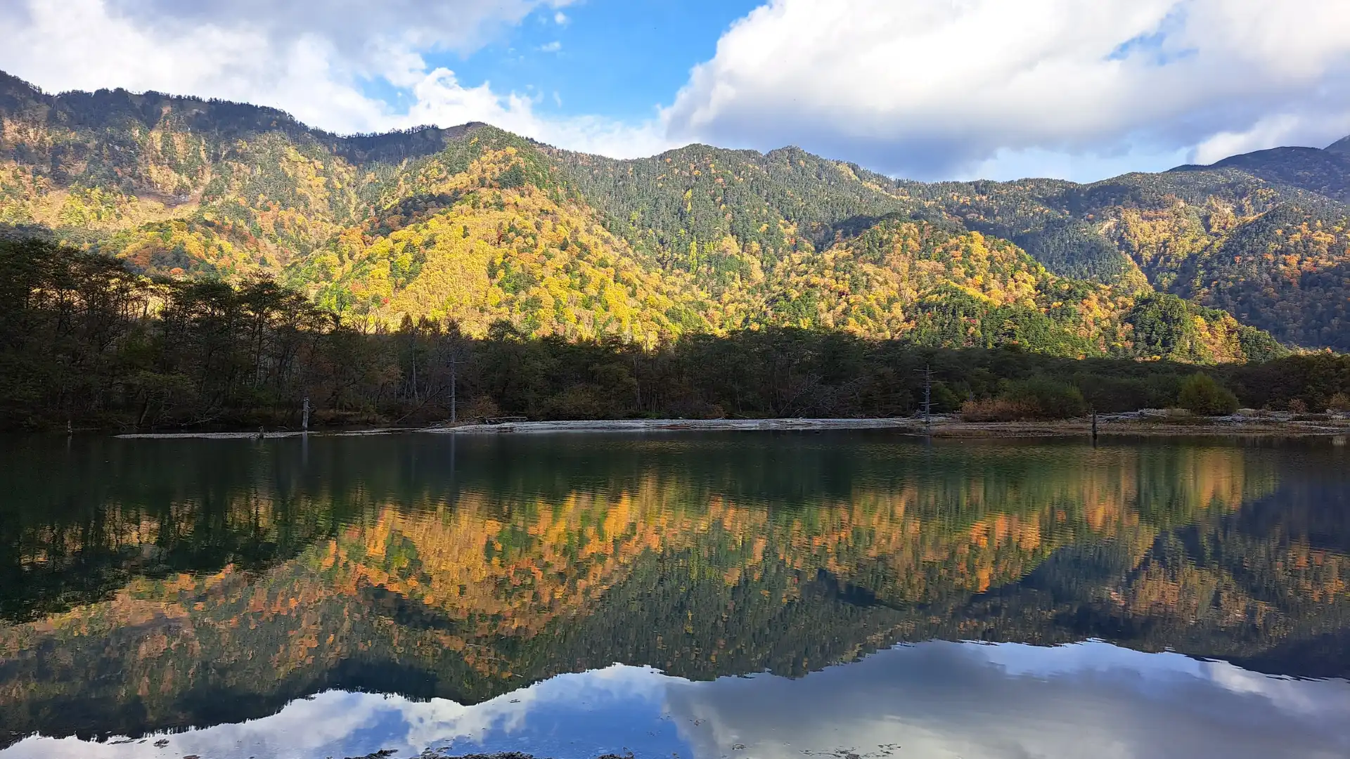 Hotels near Taisho Ike Pond