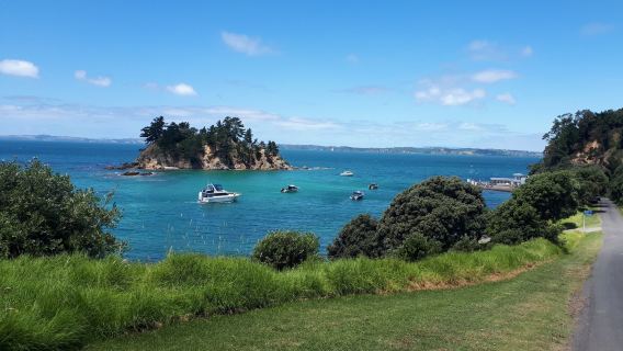 紐西蘭奧克蘭大學+天空塔+豪拉基灣+奧克蘭美術館-包車遊