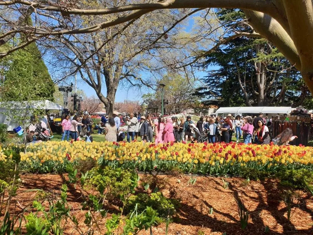5_The Corbett Gardens