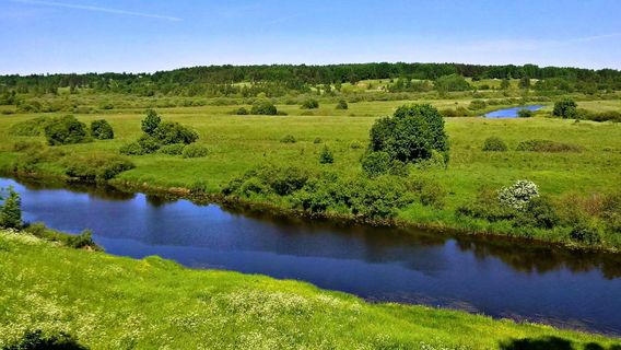 Museum-Estate "Trigorskoye"