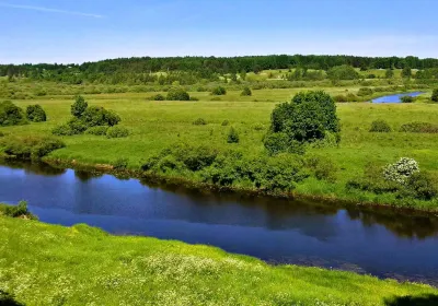 Pushkinogorsky District