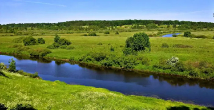 Pushkinogorsky District