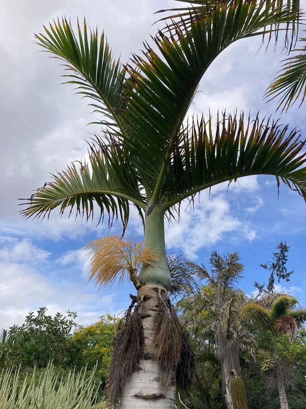 4_Botanical Park of Maspalomas (El Parque Botanico de Maspalomas)