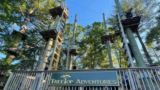 TreeTop Adventures