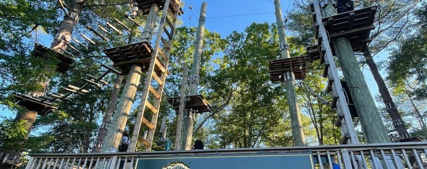 TreeTop Adventures