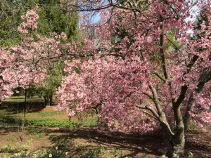 Colonial Park