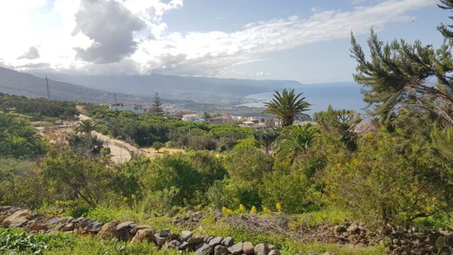Parque Natural El Montillo