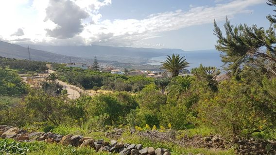 Парк натураль Эль Монтильо