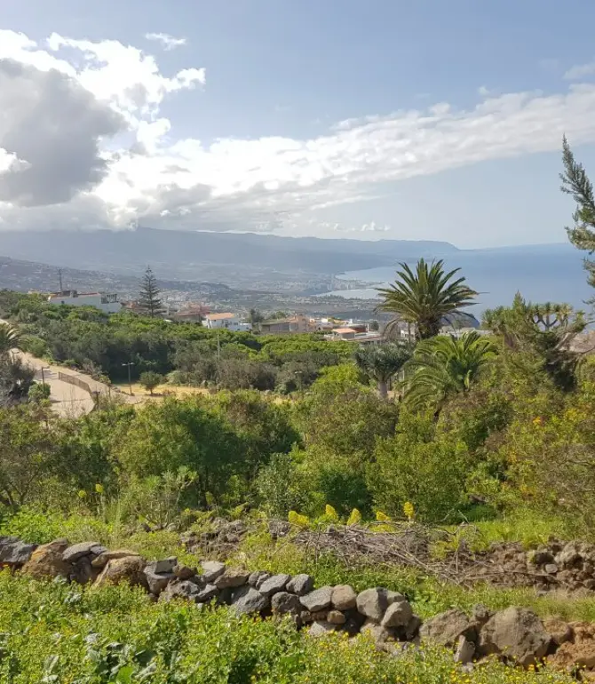 La Matanza de Acentejo
