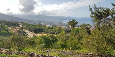 Parque Natural El Montillo