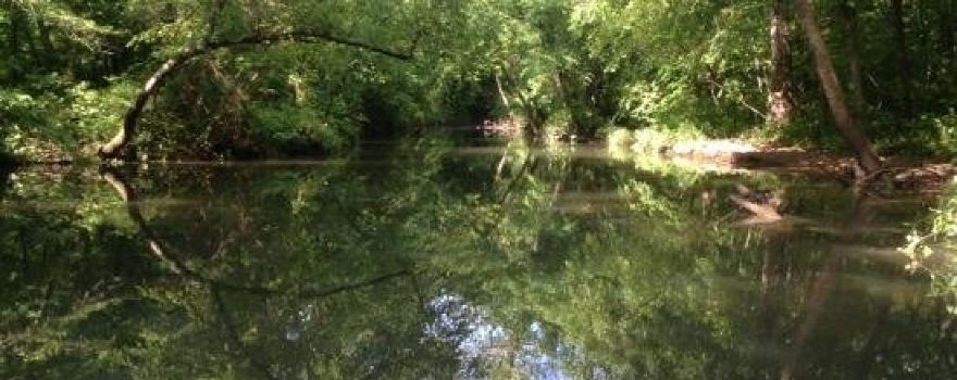 Shoal Creek