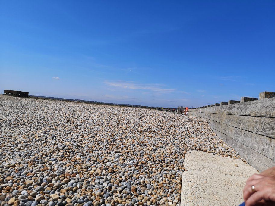 Rye Harbour Nature Reserve