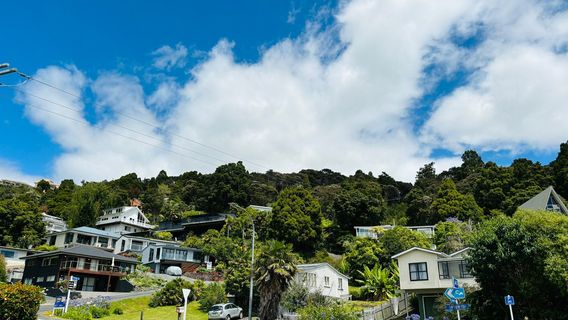 Paihia