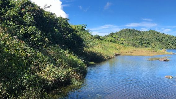 Freshwater Lake Trail