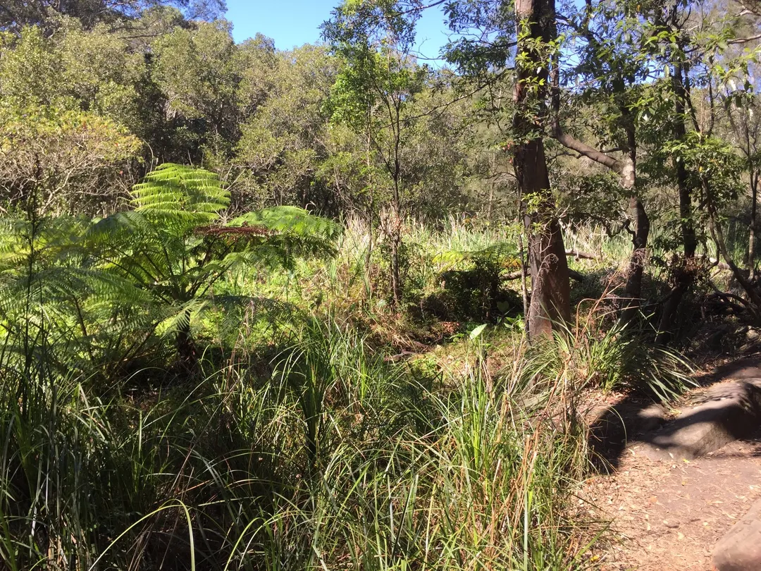 4_塔姆伯林和瓦拉倫自然保護區