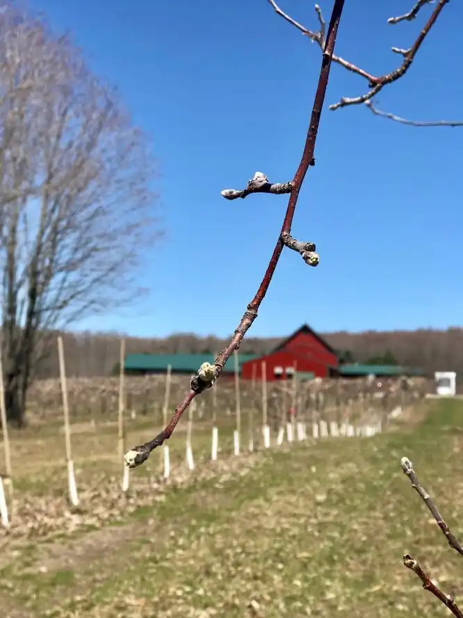 Hotel a Moltke Township