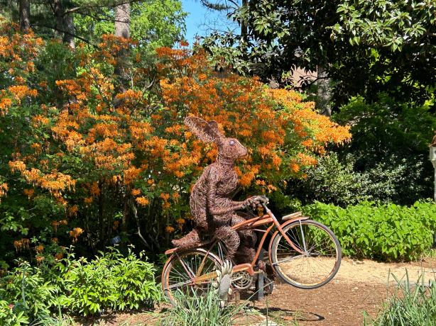 WRAL Azalea Garden