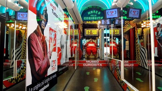 Museum of Curiosities