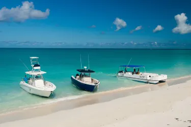 Talbot's Adventures | Turks & Caicos Fishing & Wildlife Experiences