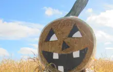 Reesor's Farm Market