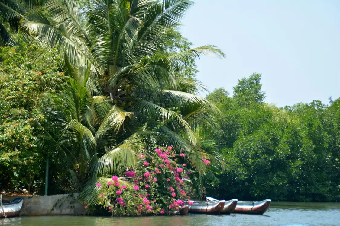 Hotels near Lagoon Herbal Garden