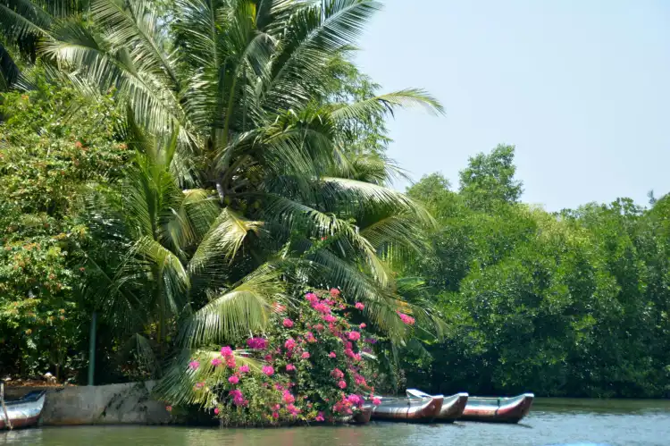 Hotels near Lagoon Herbal Garden