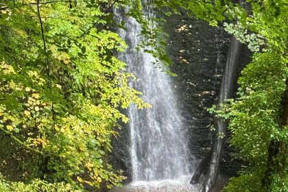Falling Foss Tea Garden