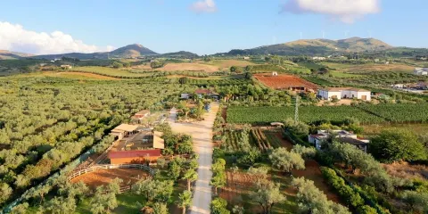 Azienda Agricola Augustali