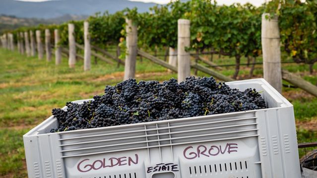 Golden Grove Estate Wines