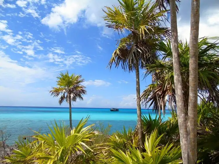 Hoteles cerca de Punta Frances Marine National Park