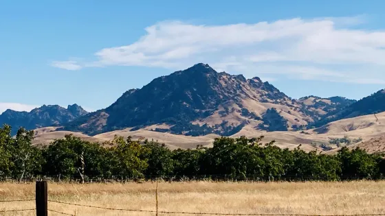 Sutter Buttes