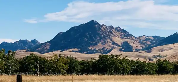 Hotels in Sutter County