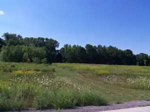 Virmond Park