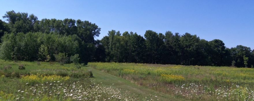 Virmond Park