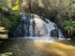 Lilydale Falls