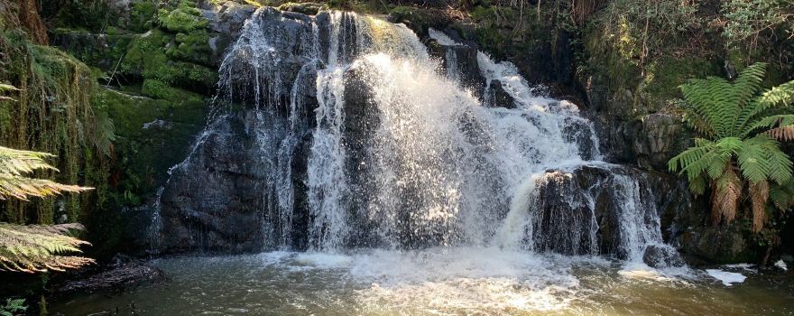 Lilydale Falls
