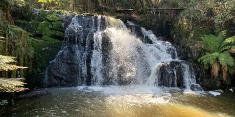 Lilydale Falls