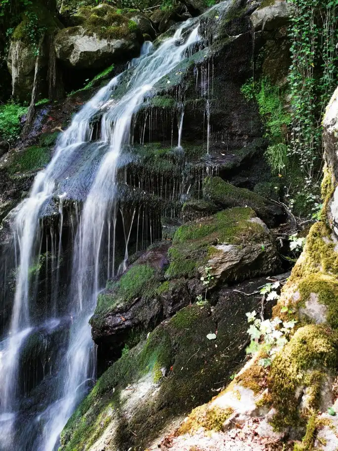 Hotels in Rickenbach