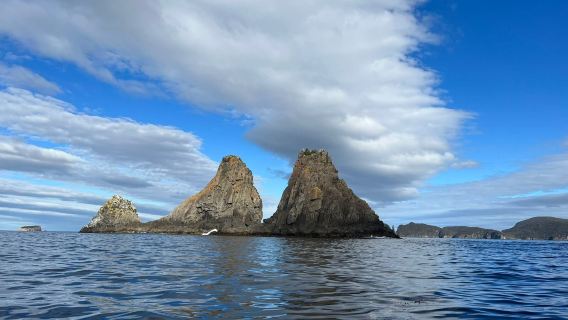 Wild Ocean Tasmania