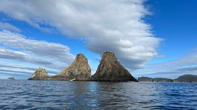 Wild Ocean Tasmania