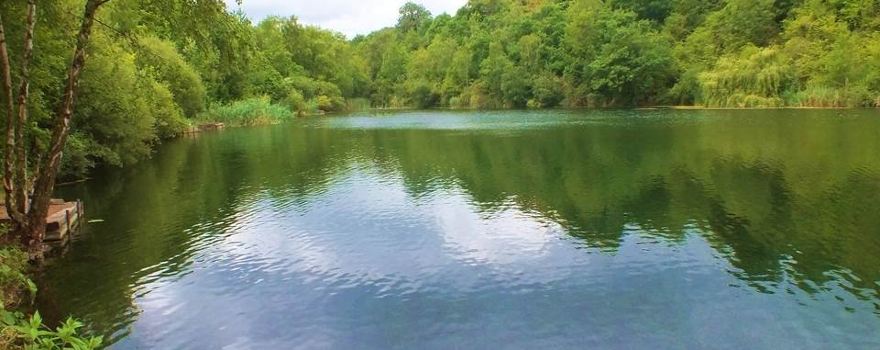 Essex Wildlife Trust Chafford Gorges Nature Park