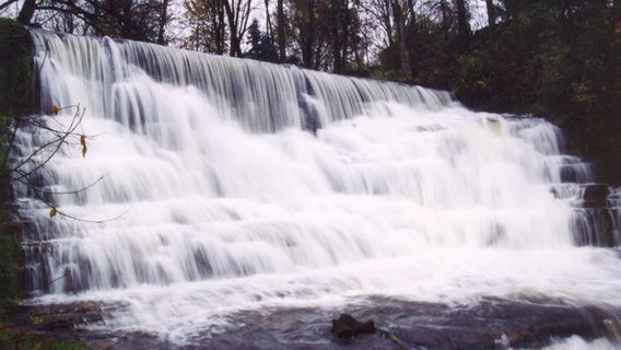 Burrville Cider Mill Inc