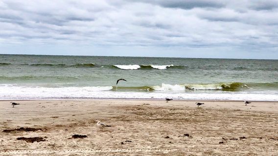 Seaside Park