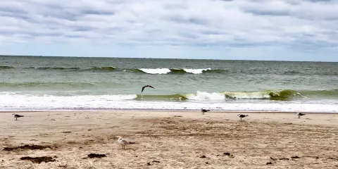Seaside Park
