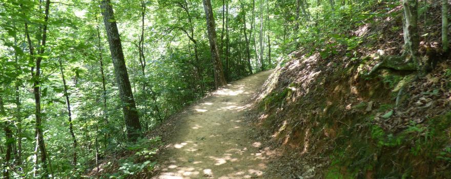 Goldmine Loop Trail