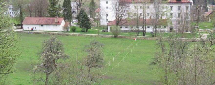 Begunje na Gorenjskem