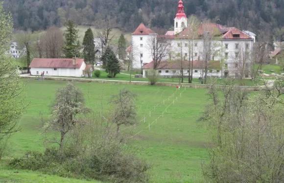 貝古耶·納·格倫奇克